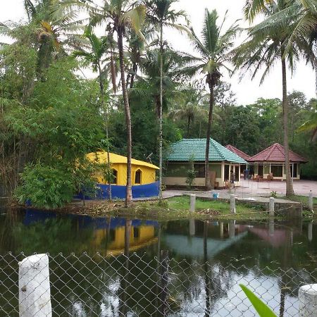 Coorg Anekad Jungle Stay Kushālnagar Kültér fotó
