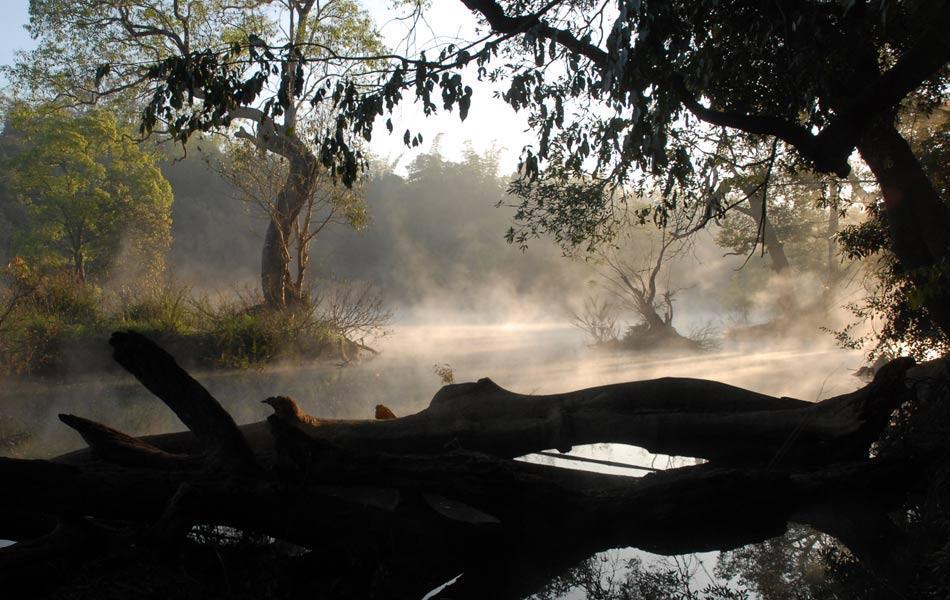 Coorg Anekad Jungle Stay Kushālnagar Kültér fotó