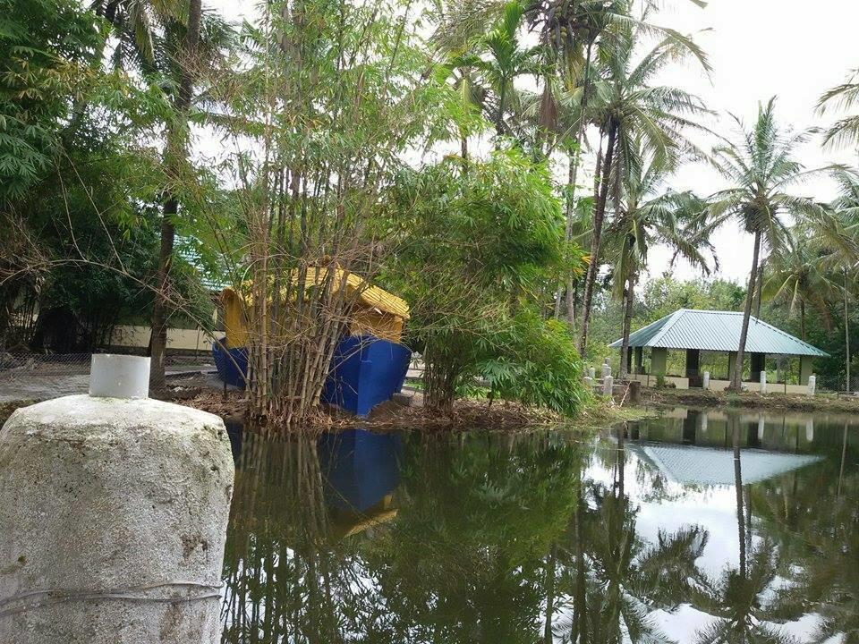 Coorg Anekad Jungle Stay Kushālnagar Kültér fotó