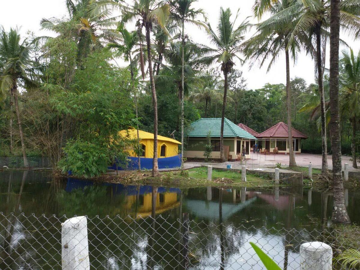 Coorg Anekad Jungle Stay Kushālnagar Kültér fotó